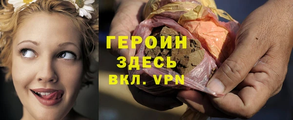 гидра Каменногорск