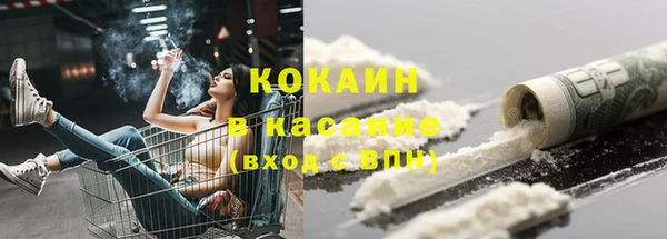 крисы Каменка