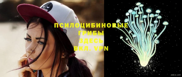 крисы Каменка
