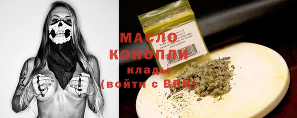 крисы Каменка