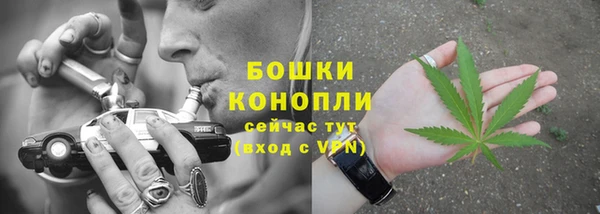 крисы Каменка