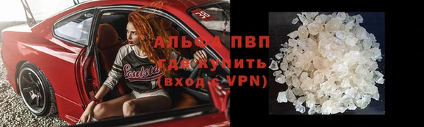 гидра Каменногорск
