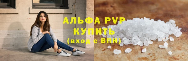 гидра Каменногорск