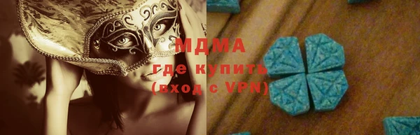 гидра Каменногорск