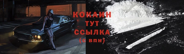 крисы Каменка