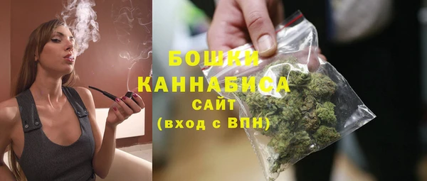 крисы Каменка