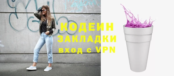 крисы Каменка