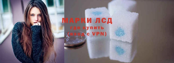 гидра Каменногорск
