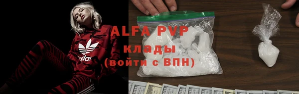 крисы Каменка