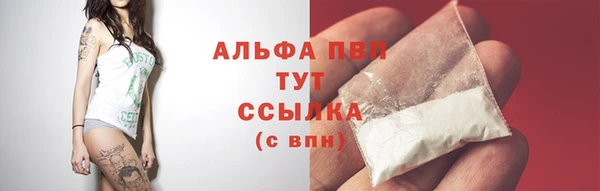 гидра Каменногорск
