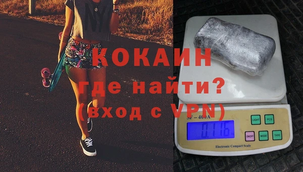 крисы Каменка