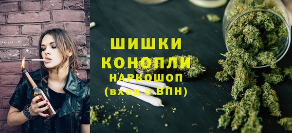 крисы Каменка