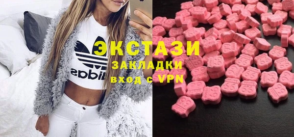 крисы Каменка