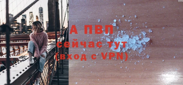 гидра Каменногорск