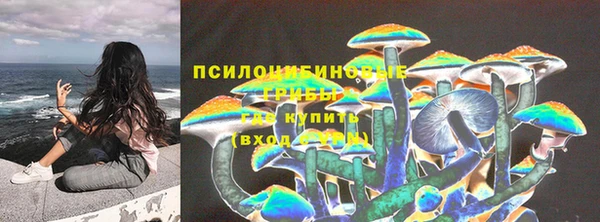 гидра Каменногорск