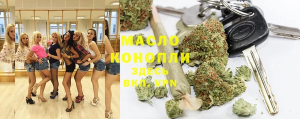 крисы Каменка
