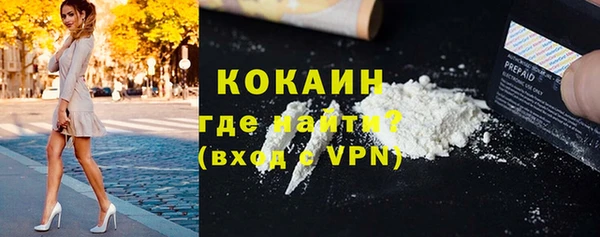 крисы Каменка