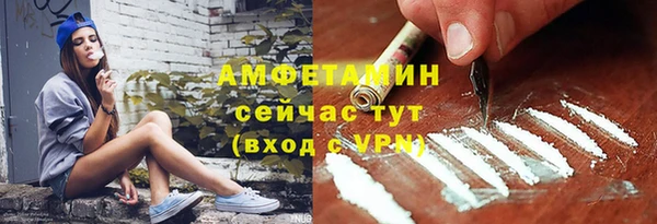 гидра Каменногорск