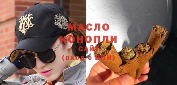 крисы Каменка