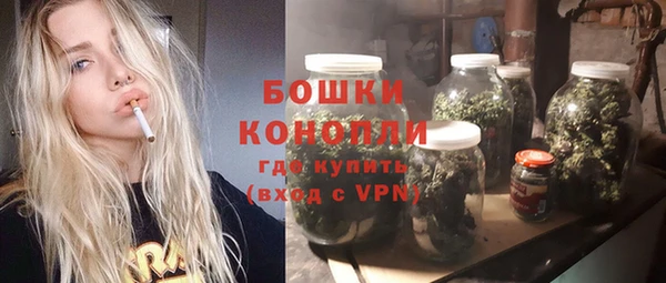 крисы Каменка