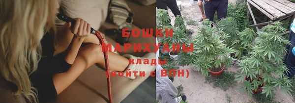 гидра Каменногорск