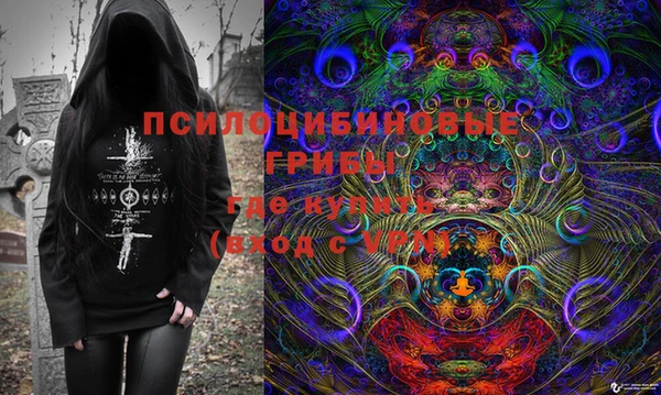 крисы Каменка